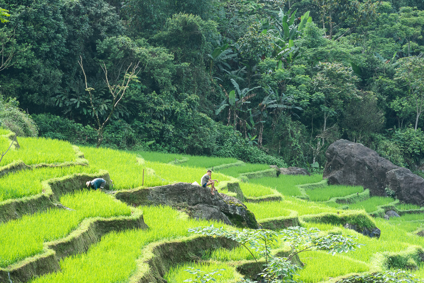 Pu Luong for nature lovers